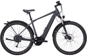 BULLS Cross Flyer EVO 2 - 29 Zoll 750Wh 9K Diamant - nano grey