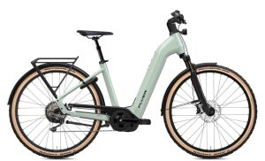 FLYER Gotour 7.12 XC ABS - 28 Zoll 750Wh 10K Wave - Frosty Sage