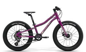 Merida MATTS J. 20+ - 20 Zoll 7K Diamant - purple