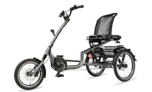 Pfautech Scoobo+ - 16/20 Zoll 545Wh 14K Dreirad - seidengrau matt