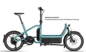 Riese und Müller Carrie touring - 20 Zoll 725Wh 10K Lastenrad - Aqua